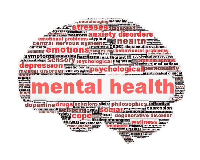 Delving into the Inner Terrain: Understanding Mental Health
