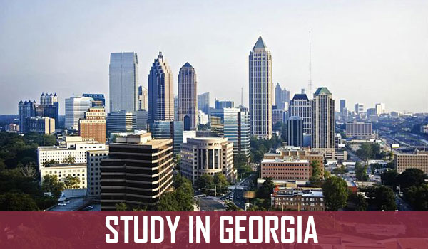 The Role of Technology in Medical Education in Georgia